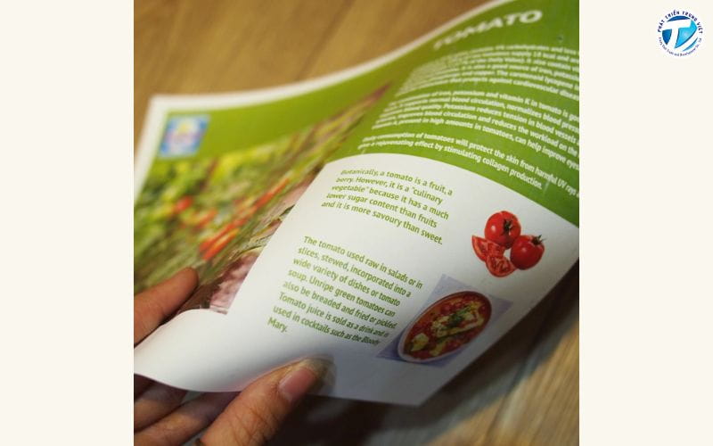 Menu giấy nhựa